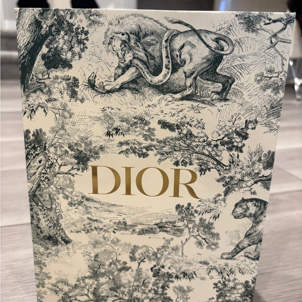 Dior empty paper gift bag shopping tote